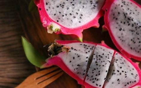 Can Dogs Have Dragon Fruit