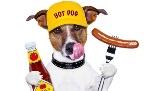 Can Dogs Have Ketchup