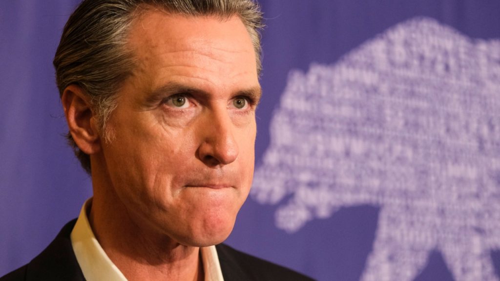 Gavin Newsom Net Worth Before Politics